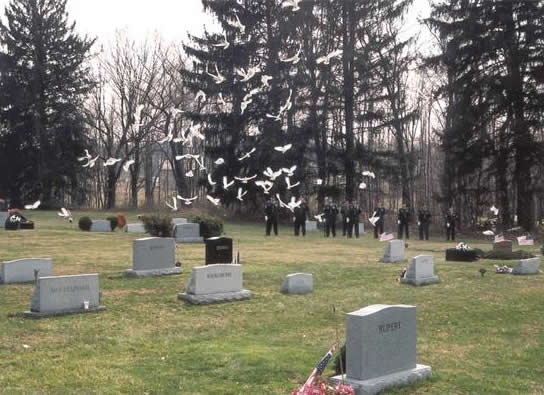 flock of doves at memorial service flock of doves at memorial service